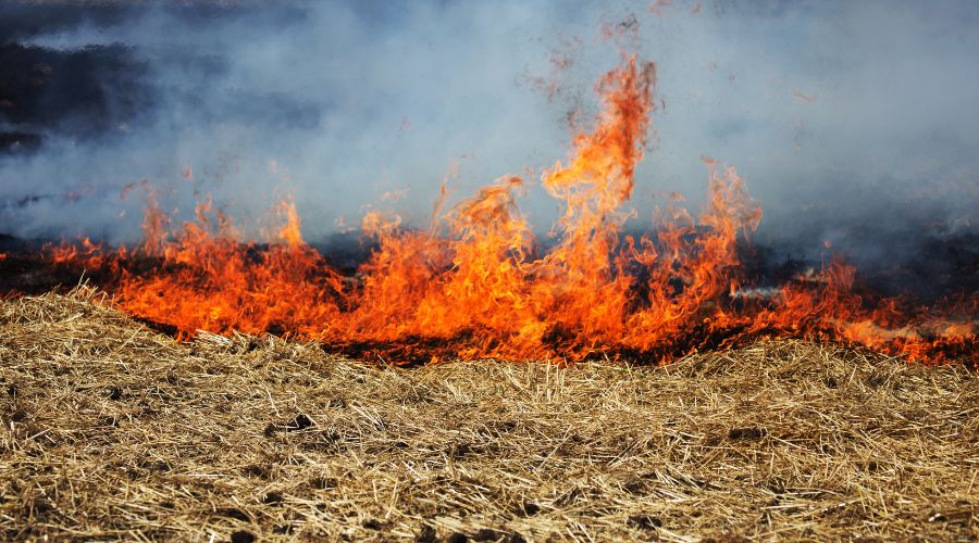 NFU Mutual urges farmers to take extra prevention measures before this year’s harvest to protect their farms against devastating fires.   