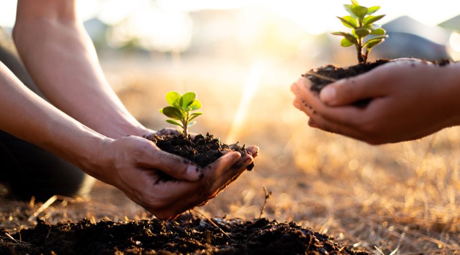 Fisher German encourages farmers to carefully consider new environmental schemes after inheritance tax relief was announced in Spring Budget. 