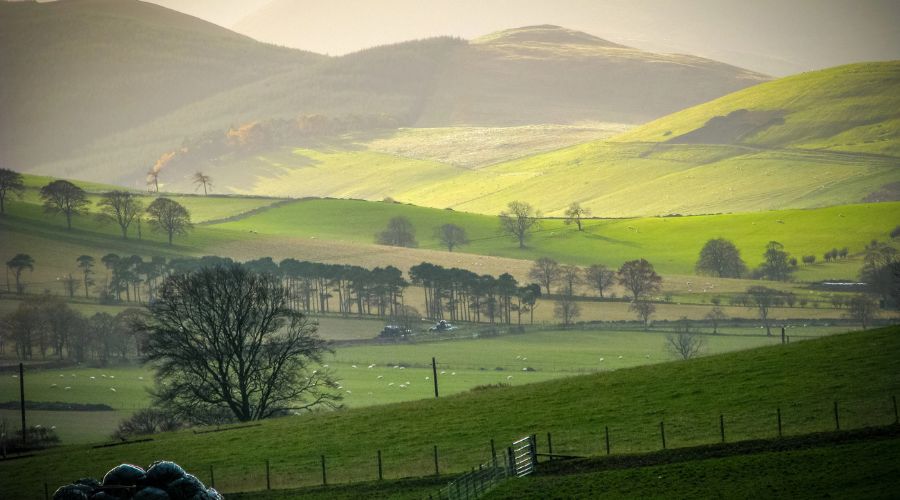 farm land