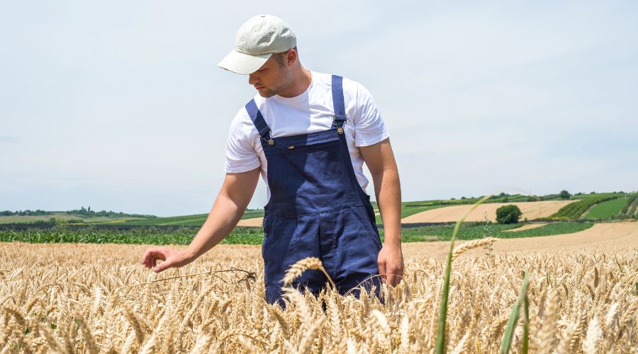 A new study by EIT Food Consumer Observatory has revealed that Europe is dealing with a ‘young farmer problem’.