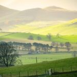 Welsh farming leaders welcomed today’s publication of the Farming Scheme (SFS), calling it a “generational milestone for Welsh agriculture”.
