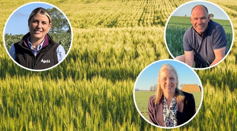 Growers have been reminded about the importance of fusarium control at T3 to combat fusarium ear blight in winter wheat crops.