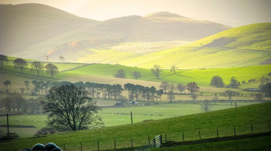 Welsh farming leaders welcomed today’s publication of the Farming Scheme (SFS), calling it a “generational milestone for Welsh agriculture”.
