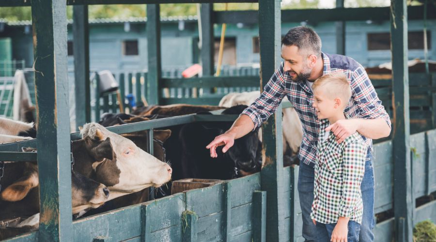 NFU president Tom Bradshaw explained why the total income from farming has increased by £1.6 billion in 2024.