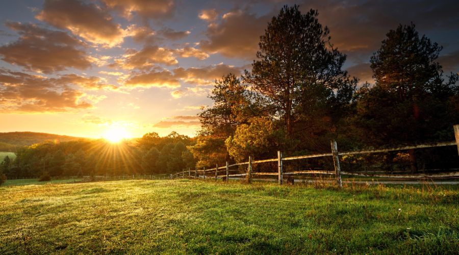 Over 1,700 farms on the outskirts of English towns and cities have disappeared in past 15 years, the Campaign to Protect Rural England warns.