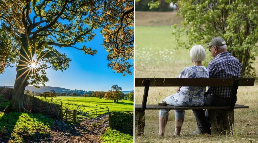 Pip Langdown is setting up a mental and physical wellbeing farm called ‘Merry Moos’ for people in need in Somerset.