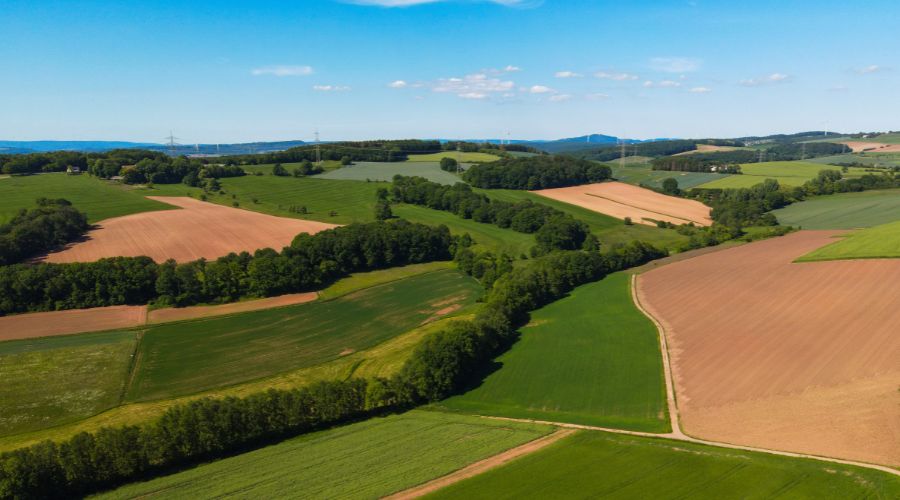 UK government announced the opening of a new round of the £150 million capital grants offer, which is set to help farmers boost their profits. 