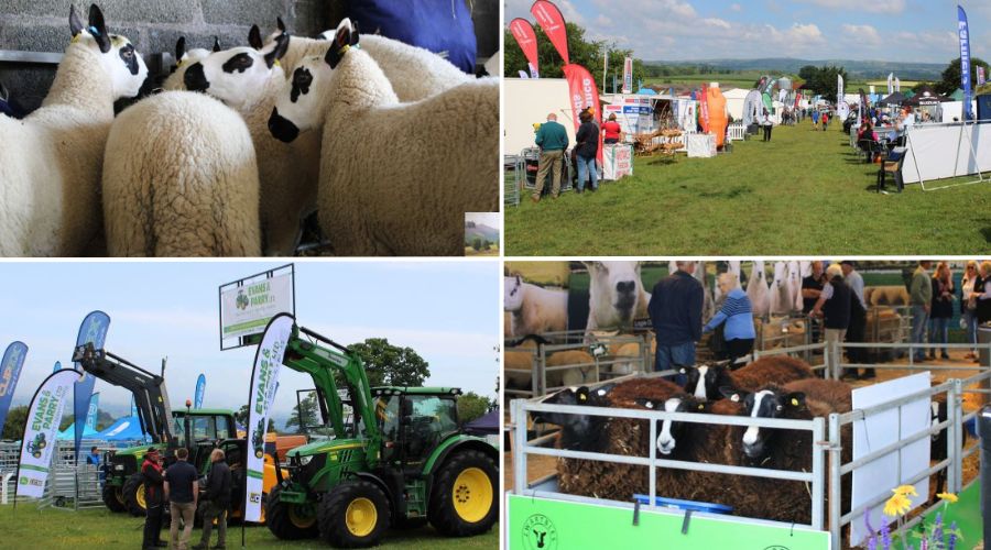 Thousands of agricultural workers as well as farming-related businesses attended this year’s NSA Welsh Sheep 2025.