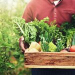NFU and Red Tractor leaders have responded to the new food strategy published by DEFRA, called Good Food Cycle.