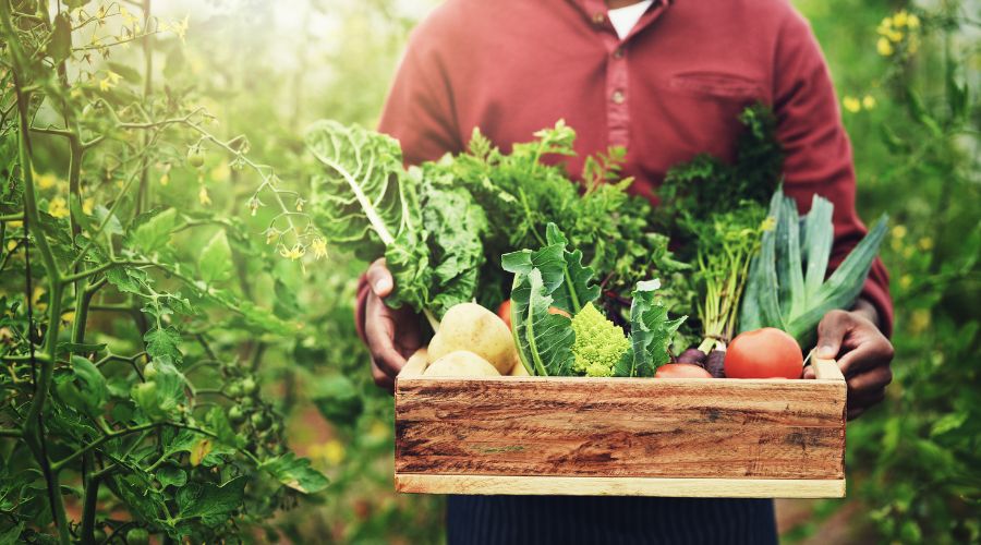 NFU and Red Tractor leaders have responded to the new food strategy published by DEFRA, called Good Food Cycle.