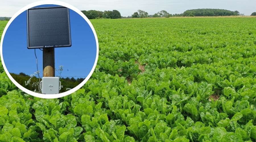 British Sugar has partnered with York-based agri-tech company AgriSound to launch a pioneering pollinator monitoring project.