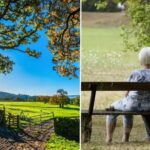 Pip Langdown is setting up a mental and physical wellbeing farm called ‘Merry Moos’ for people in need in Somerset.