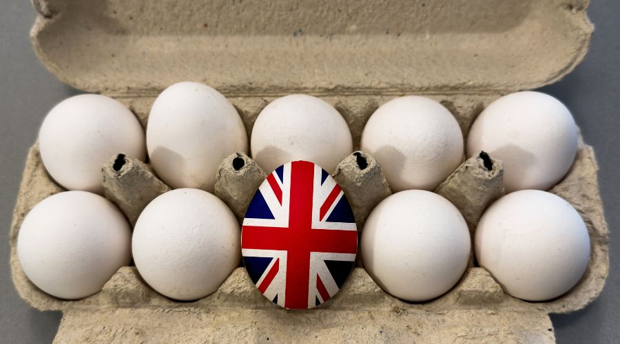 A petition that urges supermarkets to stop adding imported eggs in British-made food has already been signed by over 50,000 people. 