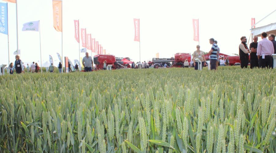 Hosted by Andrew Ward, Cereals 2025 drew a strong crowd with buyers looking for value, resilience, and adaptability.