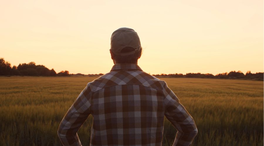 farmer facing away from camera looking out over field at sunset