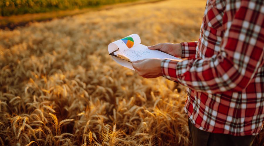 Sales of 2025 crop have plummeted in recent months, as farmers held out while wheat prices languished at their lowest point for a year, Hectare Trading reports.