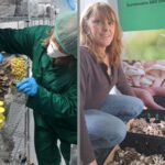 First gourmet mushrooms, including Blue Grey, King Oyster and Lion’s Mane, have been harvested from a mushroom farm on Blenheim Estate.  