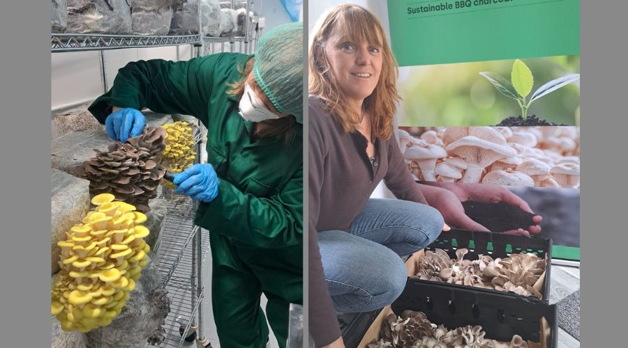 First gourmet mushrooms, including Blue Grey, King Oyster and Lion’s Mane, have been harvested from a mushroom farm on Blenheim Estate.  