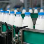 milk bottles at a processing plant