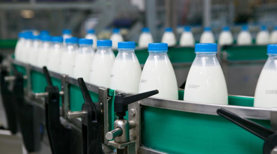 milk bottles at a processing plant
