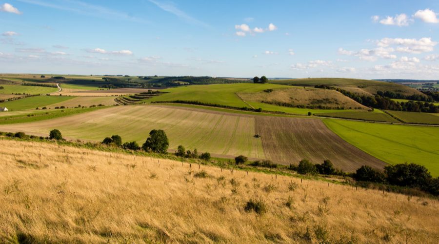 farmers fields
