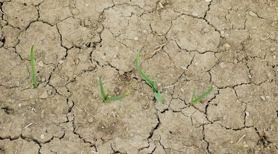 The £1.1 million package will support 12 fresh screening studies across England, known as Local Resource Options (LROs), Defra said.