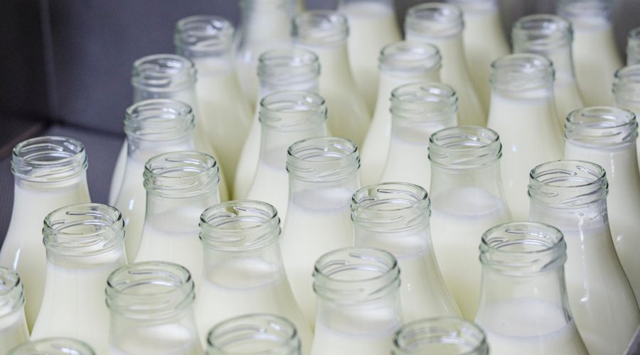 According to the Kingshay Dairy Costings report, the last milk year was a positive one for dairy producers.