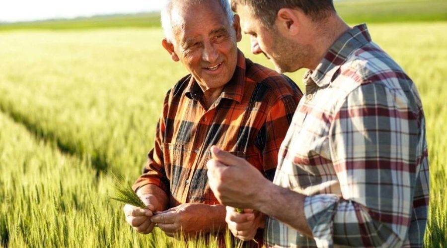 Adama announced its novel fungicide active ingredient, Gilboa, has been classified as having a unique mode of action for cereal crops.