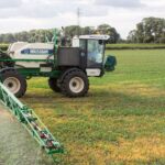 In Europe, most grassweeds are largely susceptible to clethodim, a key herbicide for oilseed rape and sugar beet. However, resistance is present in some UK populations.  