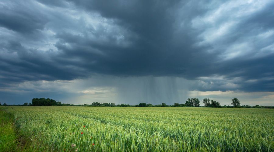 Extreme winter rainfall is overwhelming the ability of farmland to regulate pollution, putting water quality at risk, scientists warn. 