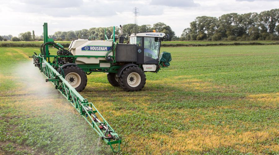 In Europe, most grassweeds are largely susceptible to clethodim, a key herbicide for oilseed rape and sugar beet. However, resistance is present in some UK populations.  