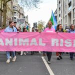 Six animal rights activists were recently sentenced for aggravated trespass after bringing milk supplies to a halt at a dairy site back in 2022.