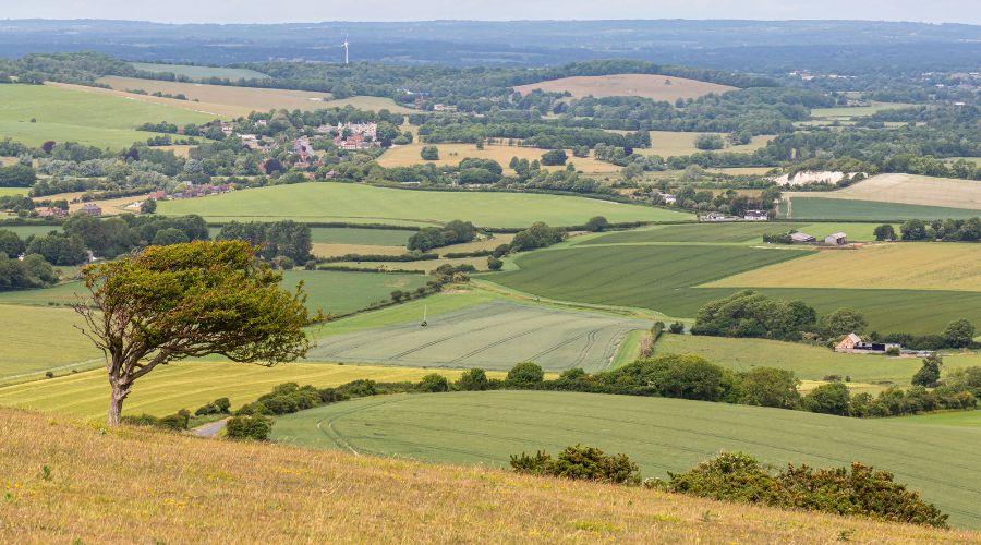 uk farmland