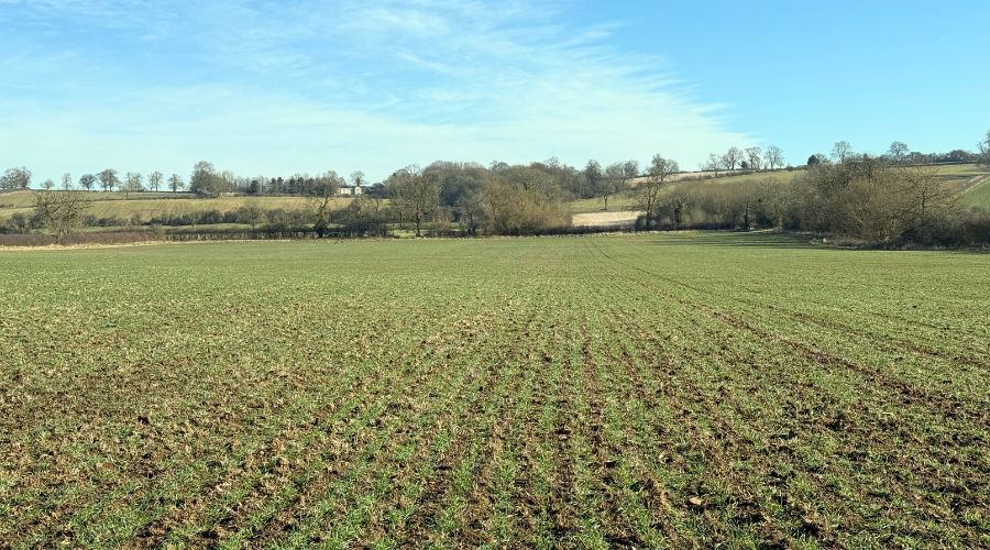 Corteva Agriscience has launched a new herbicide for grass and broad-leaved weed control in Irish cereal crops, Manhattan. 