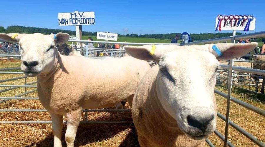 One of Scotland’s longest-running agricultural events, the 157th edition of the West Fife Show, is expected to attract thousands of visitors.