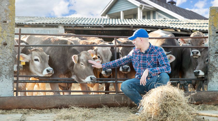 Report by National Audit Office examines whether DEFRA is taking effective action to ensure England is resilient to animal disease outbreaks.
