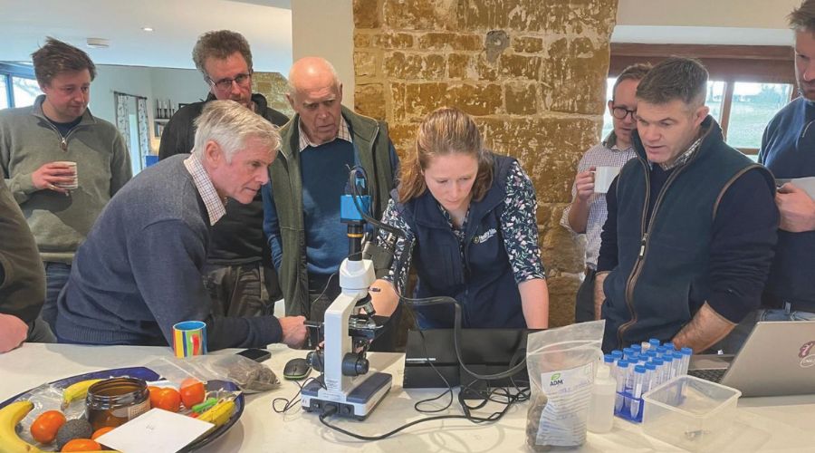 Soil biology 