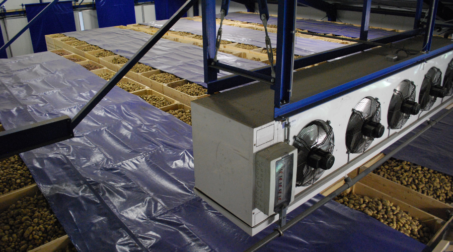 Omnivent potato cooling system 