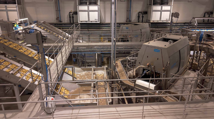 Wyma potato washing facility